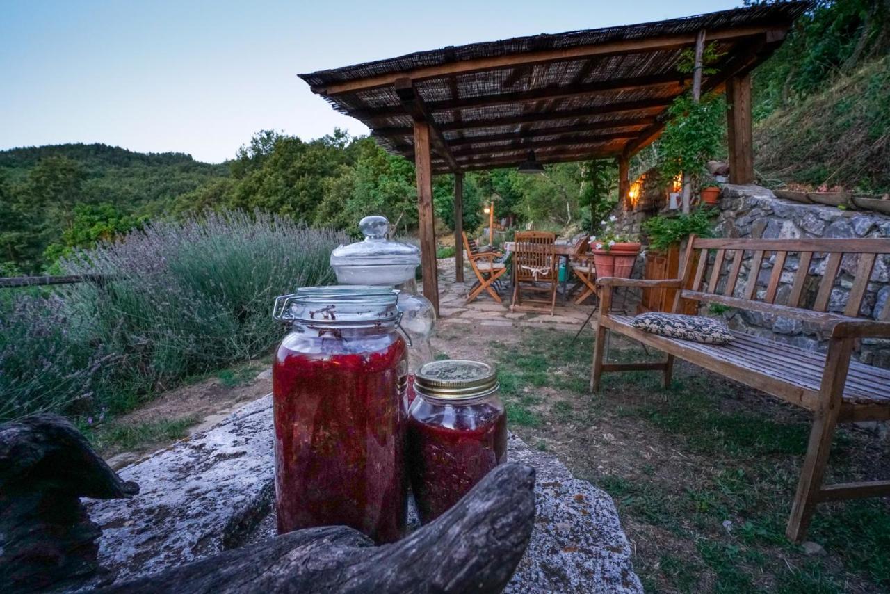 Agriturismo La Colombella Bagni San Filippo Exteriér fotografie