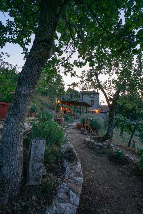 Agriturismo La Colombella Bagni San Filippo Exteriér fotografie