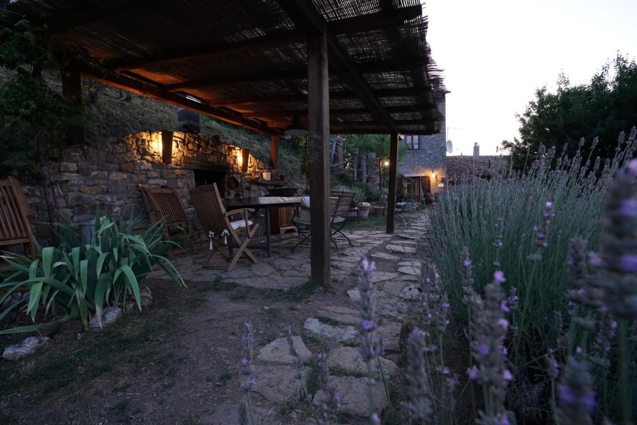 Agriturismo La Colombella Bagni San Filippo Exteriér fotografie