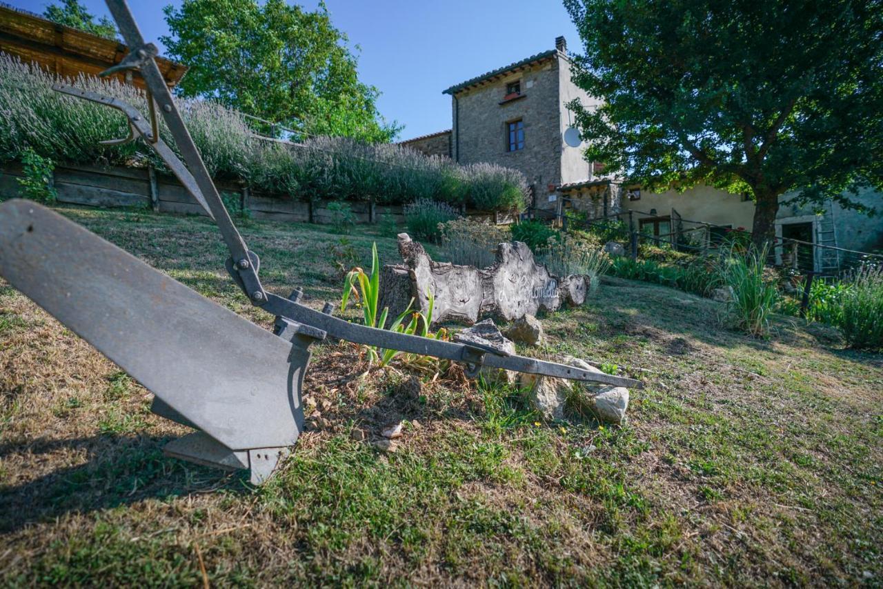 Agriturismo La Colombella Bagni San Filippo Exteriér fotografie